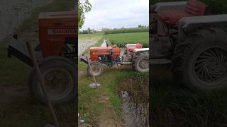 sandhu farm #farming #tractor #punjabi #sandhufarm #cow #sandhu