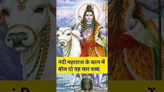 नंदी महाराज के कान में बोल दे यह चार शब्द #mahadev #mahakal #bholenath #shorts