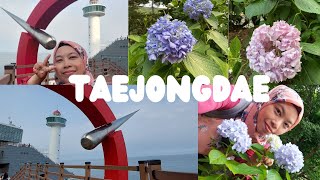 Taejongdae DANUBI TRAIN (Hydrangeas, Observatory & Lighthouse) Busan | Solo Travel (Summer in Korea)