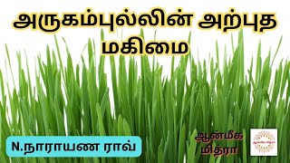 அருகம்புல்லின் அற்புத மகிமை || Scutch grass benefits in Tamil || N.Narayana Rao