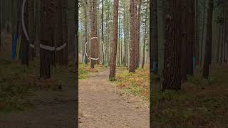 Magic Circle In The Trees - Relaxing Nature Sounds