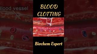 Blood Clotting | blood clotting animation | #bloodclotting | #blood #bloodclottinganimation | clots