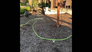 Planting a Boxwood Hedge