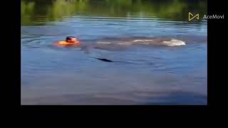 🔴  تمساح يهاجم لاعب كرة قدم خيسوس ألبيرتو لوبيز crocodile attack jesus alberto lopez