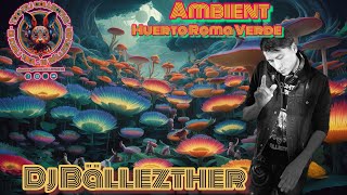 Ambient Psytrance Dj Set On Vinyl@ballezther