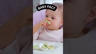 Infants' Sense of Taste: What They Can and Can't Taste #shorts #facts #baby #babygirl #babyboy