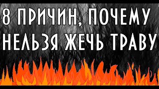 8 Причин, почему нельзя жечь сухую траву