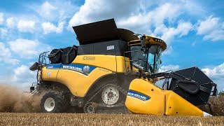 New Holland CR10.90 & CR8.80 | Harvesting wheat | Rosina