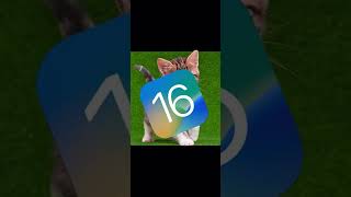 Крутая функция iOS 16!