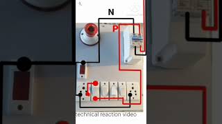 board to 2 MCB wiring 👍 #electrical #electrical #electrial #electricalengineering #electrician