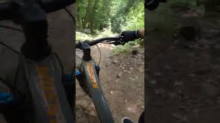 East Coast rock slab #downhill #mtb