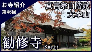 【お寺紹介46】勧修寺・京都 －真言宗山階派 大本山－ 12分でお寺を案内します。