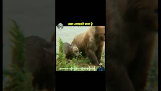 क्या आप जानते है 😮😮#shortvideo #short