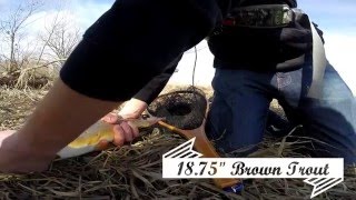 February 2016 Trout Fishing Madison Wisconsin S1E2