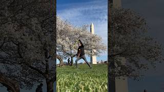 Poi spinning on the National Mall for peak Cherry Blossoms! 🌸 #poispinning #flowarts