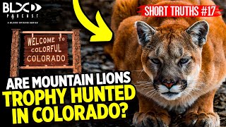 Short Truths #17: Are mountain lions trophy hunted in Colorado?