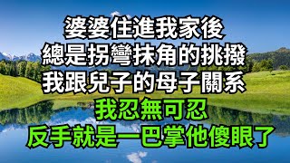 婆婆住進我家後，總是拐彎抹角的挑撥，我跟兒子的母子關系，我忍無可忍，反手就是一巴掌他傻眼了【人間清醒】 #情感故事 #花開富貴 #深夜淺讀 #深夜淺談 #家庭矛盾 #爽文