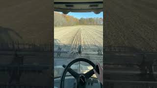 The last 66 acres of our 2023 wheat beans #automobile #farming #farmlife #claas ￼