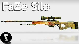 FaZe Silo (CS:GO)