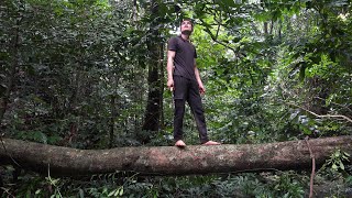 Going deep into the forest alone to find food - 2 years of survival in the rainforest - episode 51