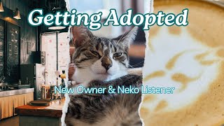 Neko Adoption | F4A | ASMR Roleplay