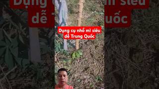 Dụng cụ nhổ mì siêu dễ Trung Quốc