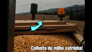 Colheita do milho safrinha!