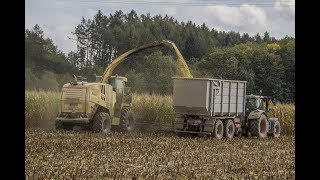 Siláže 2018 -Krone BigX 700 + EasyCollect 12r + 3x Fendt