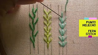 11)*PUNTADA HELECHO - FERN STITCH - PÉ DE GALINHA - POINT FONGÈRE* [Bordado a mano-Hand Embroidery]