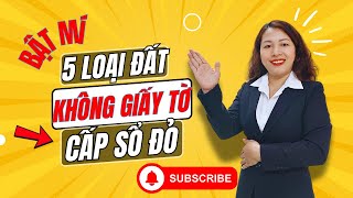 Bật Mí:5 Loại đất không giấy tờ được cấp Sổ Đỏ từ ngày 1/1/2025?