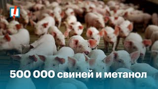 Экономические приоритеты единороссов: как загадить область