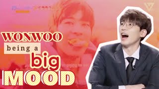 Seventeen's Wonwoo being a big mood [Jeon Wonwoo funny moments] #wonwoo #seventeen