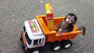 Bayi Monyet Milo Beli Bubur Pakai Truk Mini