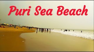 Puri | Attraction of Puri sea beach | Golden beach | Odisha | 2019 | India