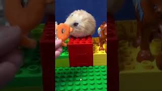 CUTE !!hamster winning a trophy