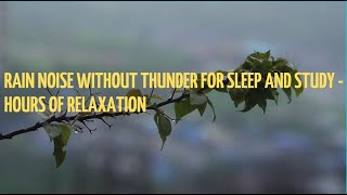 Rain noise without thunder for sleep and study - 3 hours of relaxation