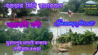 মিনি রাতারগুল ৷৷ Mini ratargul ৷৷ Swamp forest