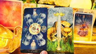 Scorpio 🍀BELIEVE IT OR NOT SCORPIO…YOUR ENTIRE LIFE’S CHANGING !!! ♏️Tarot