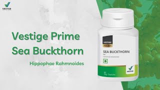 Vestige Prime Sea Buckthorn | Purnima | Success With Me