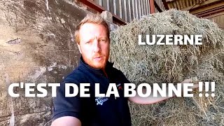 LA BONNE LUZERNE