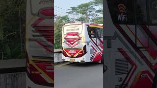 Cinematic Bus Putra Perdana "QUEEN ALESYA" & FREE FOOTAGE #shorts