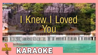 ADR HD KARAOKE | I Knew I Loved You - Savage Garden