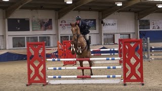 Improving #hoofhealth #hoofstrength in Jimmy #eventing horse