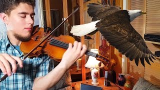 SOLITARY BIRD for Violin Solo