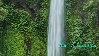 🌹🌹 Good Morning 🌹🌹 Assalamualaikum 🌹🌹 WhatsApp Video Status 🌹🌹 Power Lines