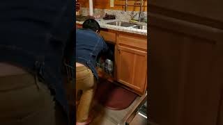 How to use the Dishwasher