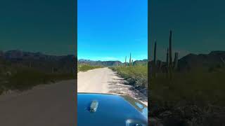 Organ Pipe Cactus National Monument