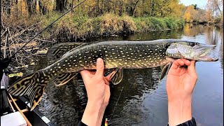 Indiana Kayak Fishing: Transition Pike 10/25/20