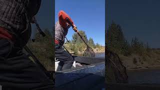 Чётко вжарил судак на джиг #volga #fishing #рыбалка #калмыкия #цаган # судак#джиг