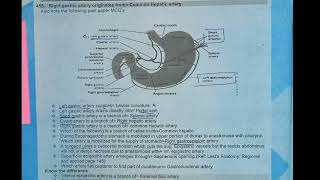 celeic trunk branches|abdomen anatomy|fcps part-1 preparation forum|cpsp syllabus